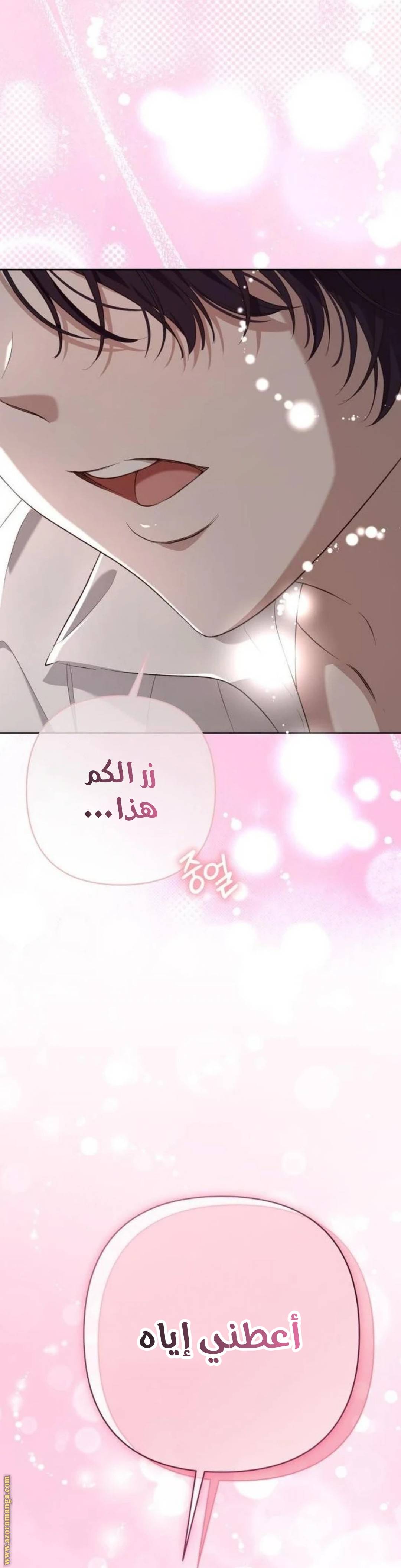 الصفحة 33