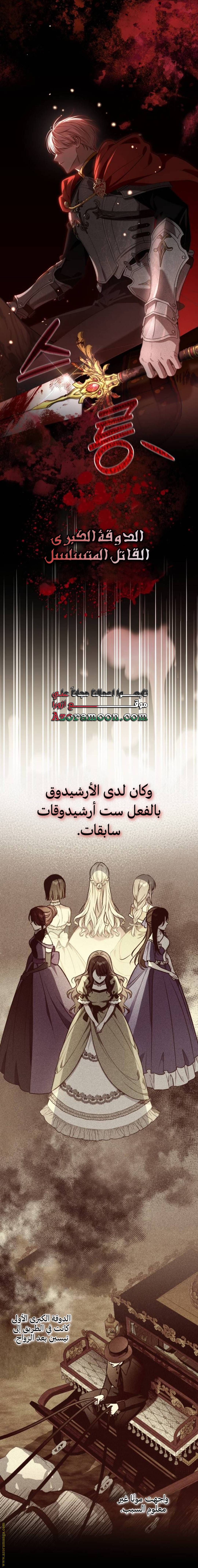 الصفحة 13