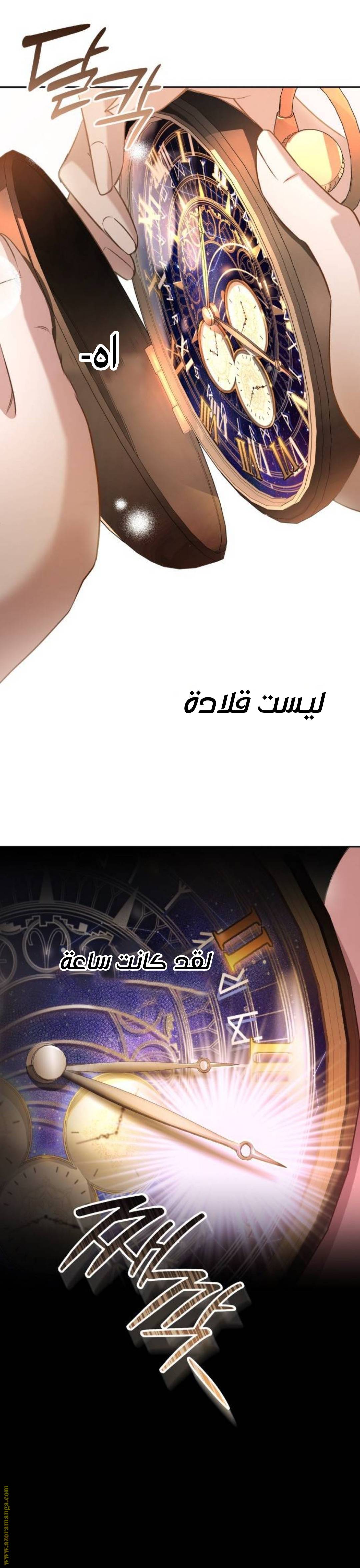 الصفحة 24