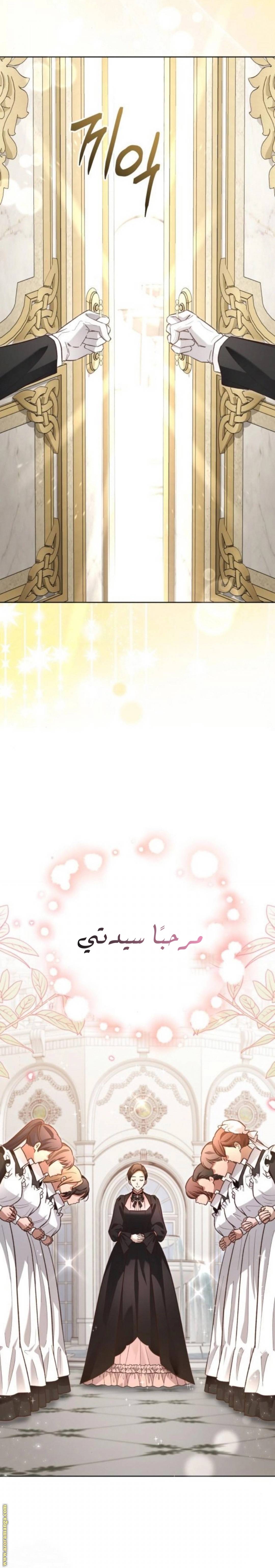 الصفحة 25