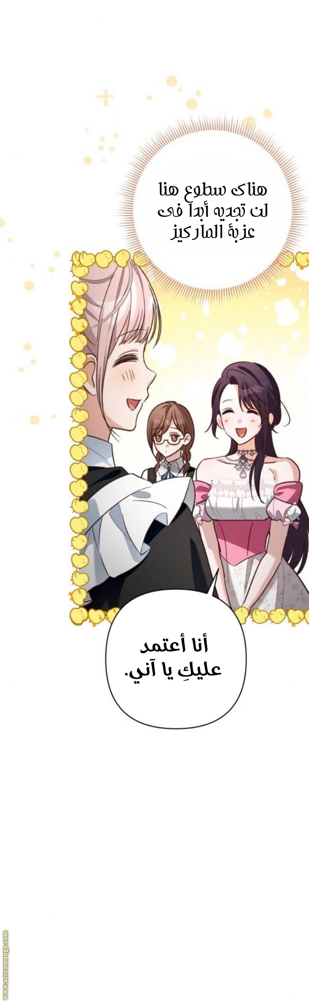 الصفحة 29