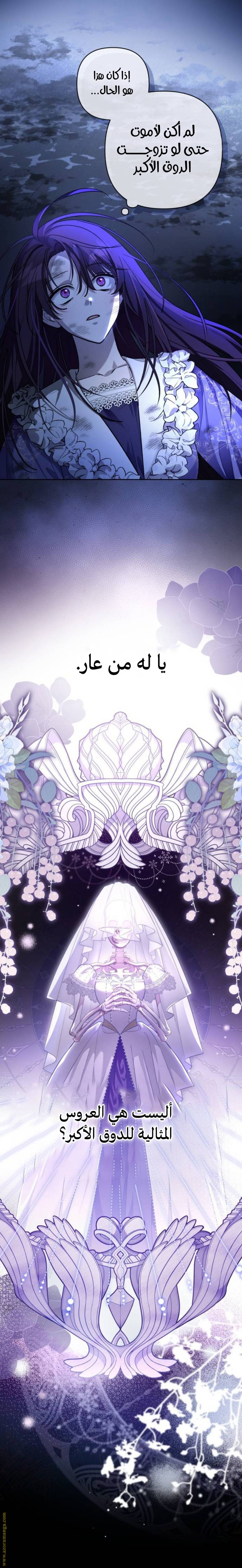 الصفحة 19
