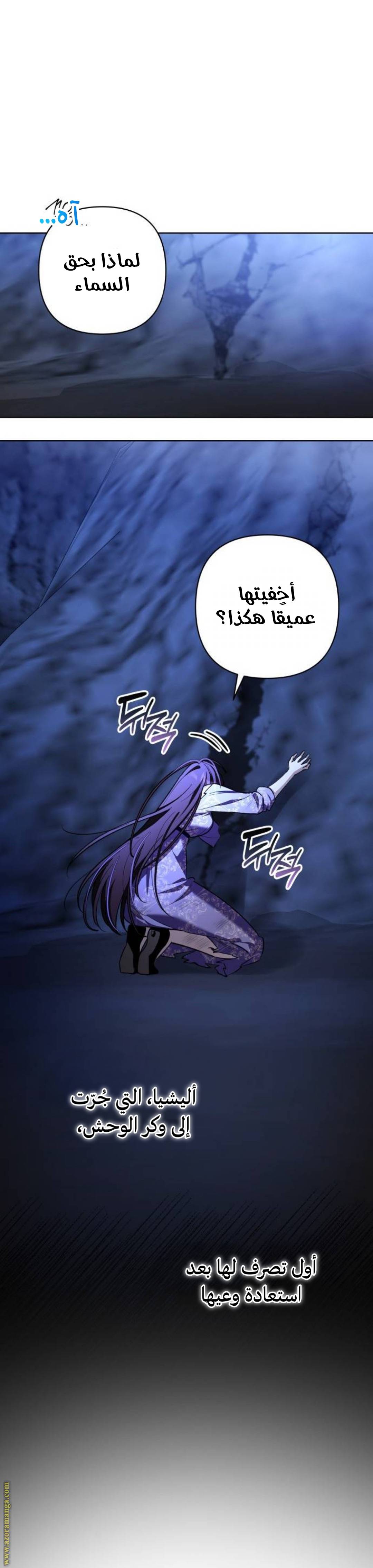 الصفحة 25