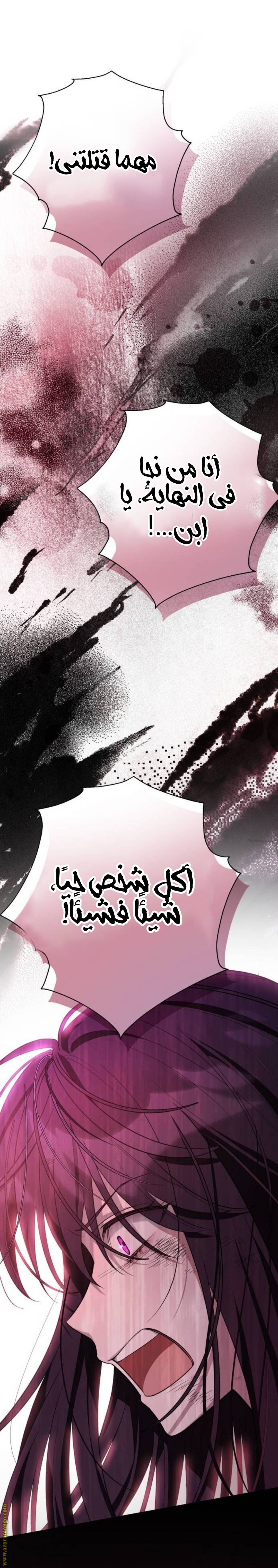 الصفحة 29
