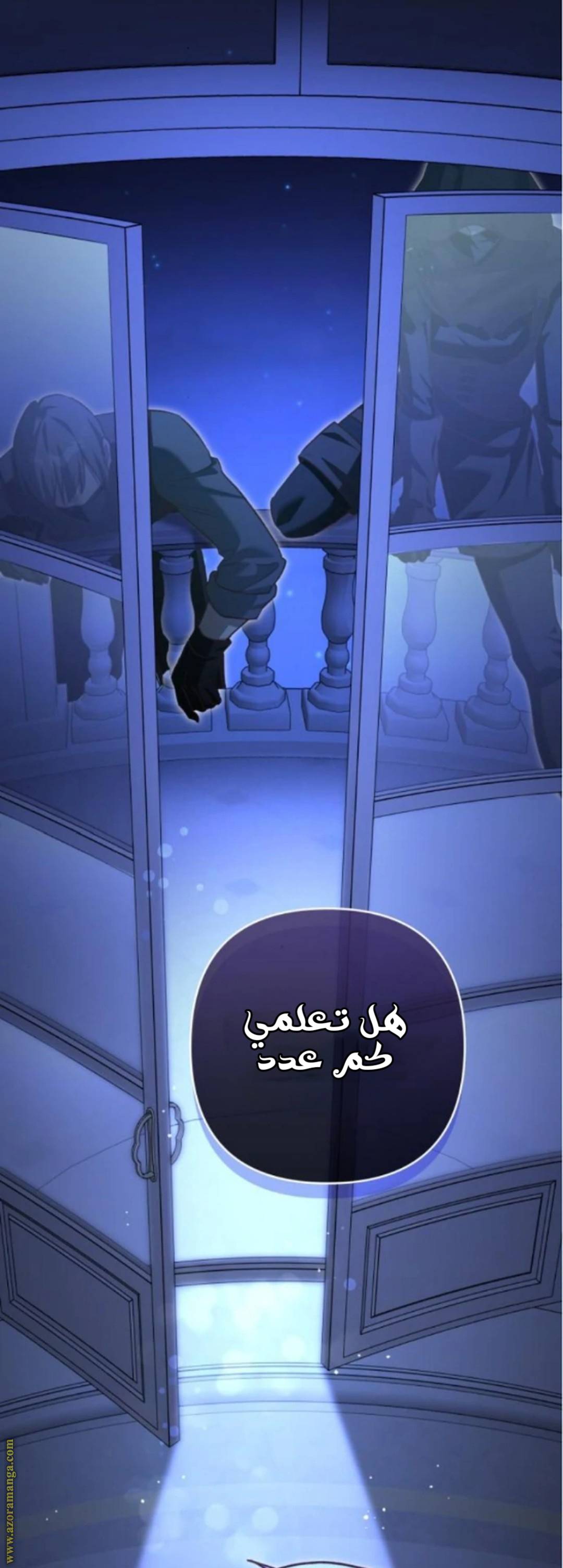 الصفحة 17