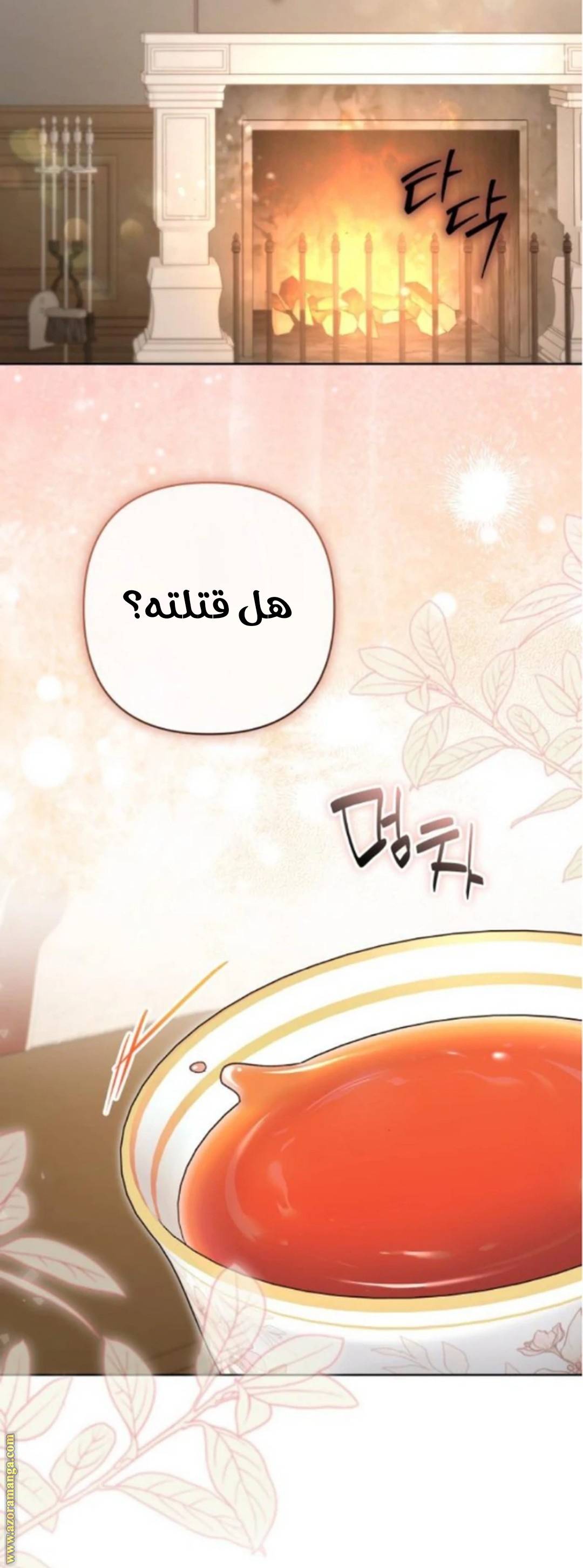 الصفحة 42