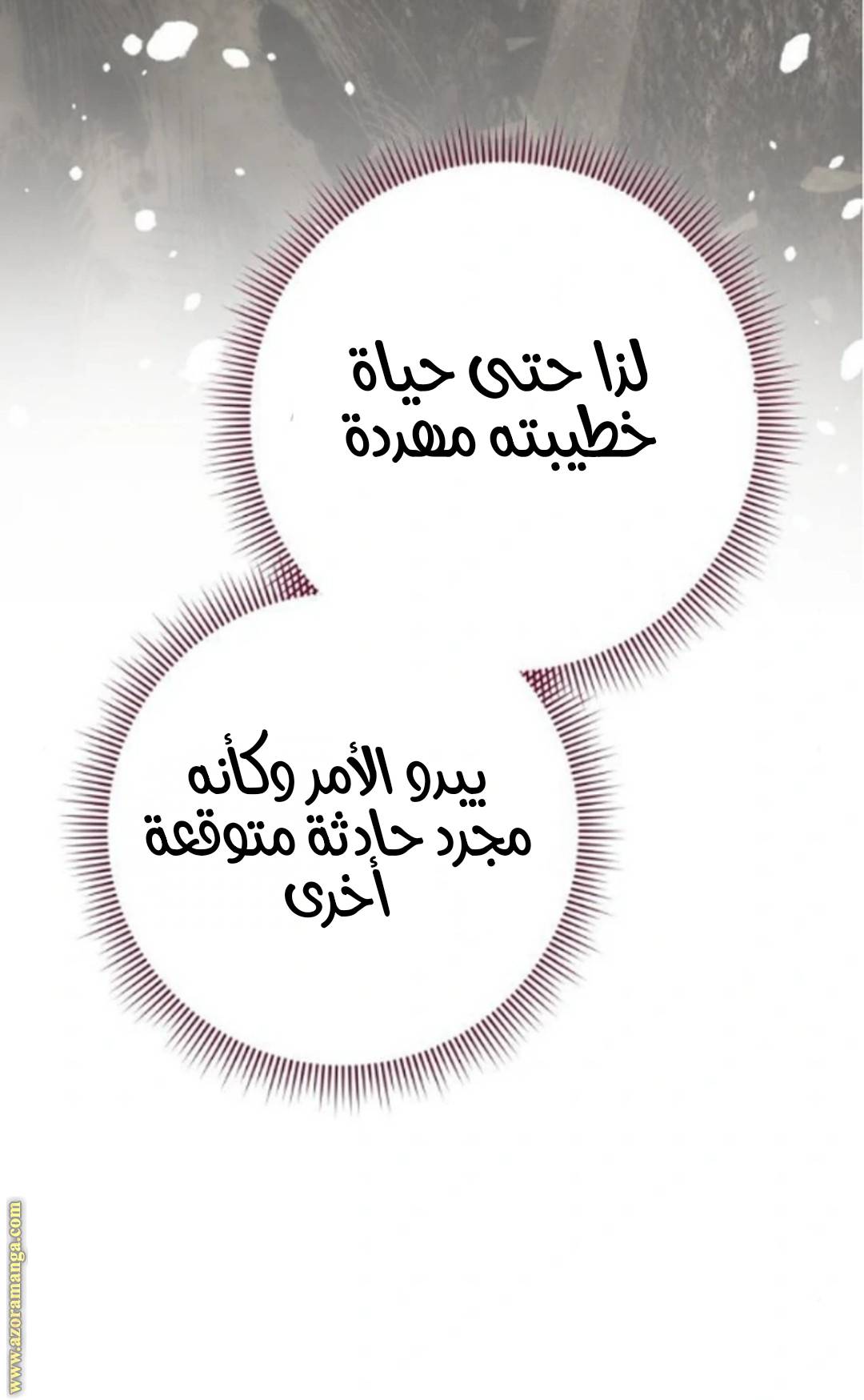 الصفحة 54