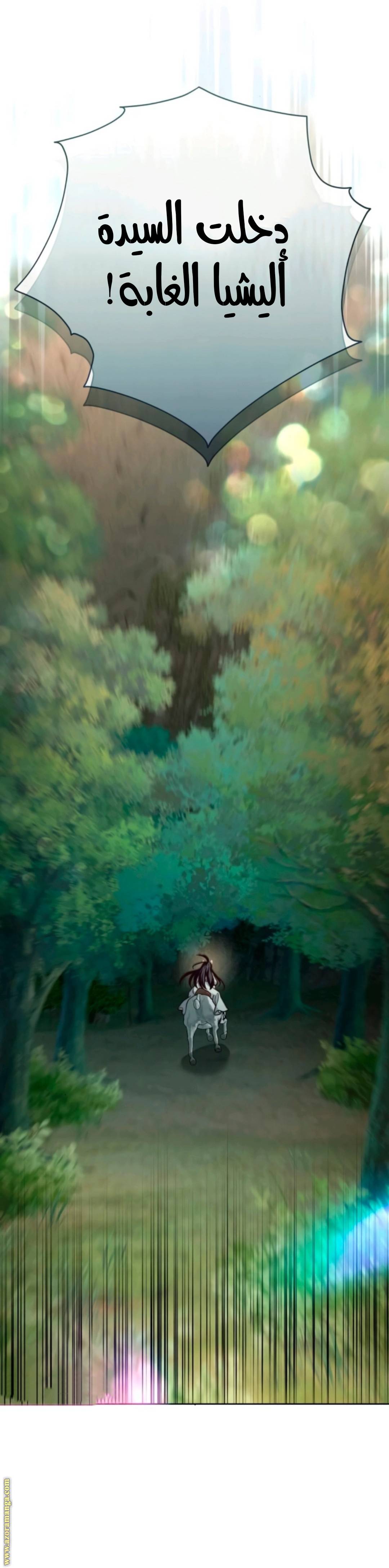 الصفحة 20