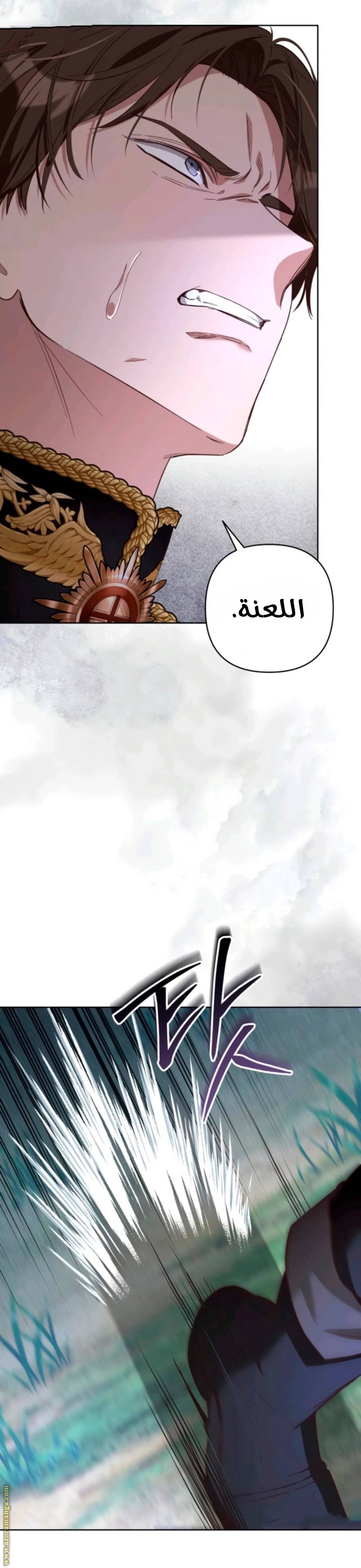 الصفحة 30