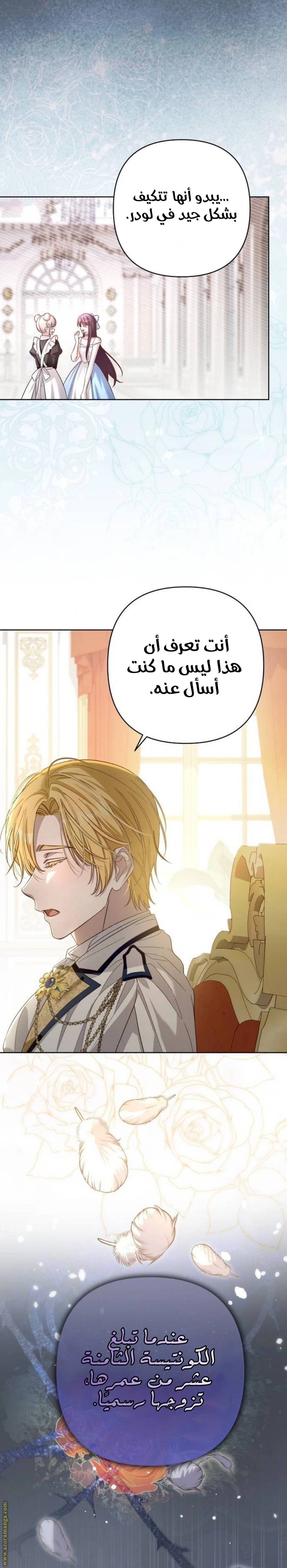 الصفحة 13