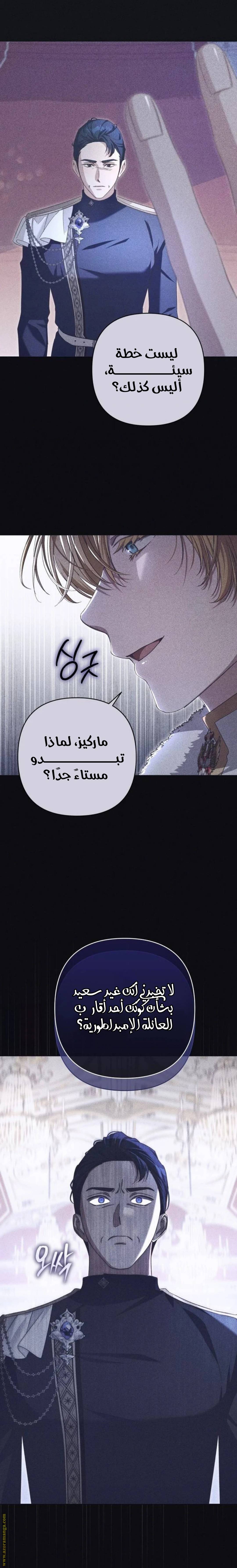 الصفحة 17