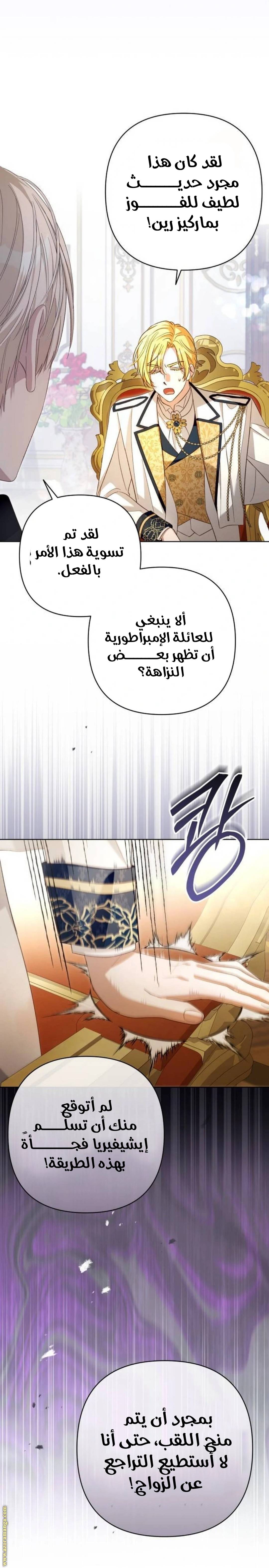 الصفحة 19