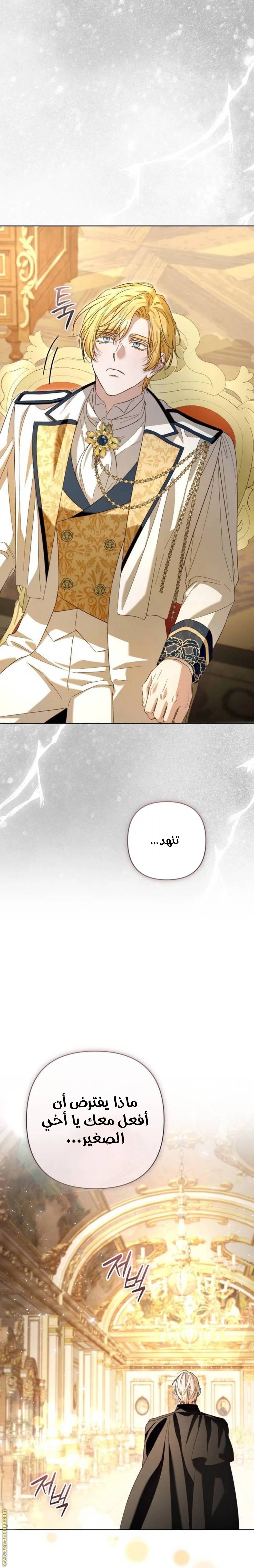 الصفحة 25