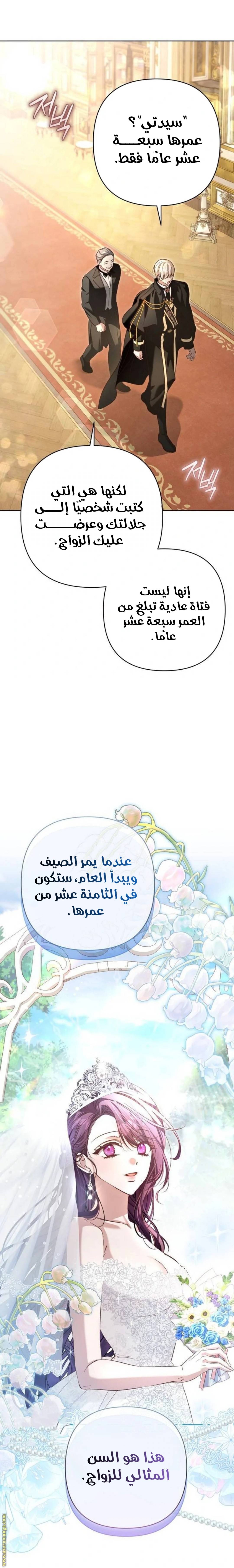 الصفحة 27