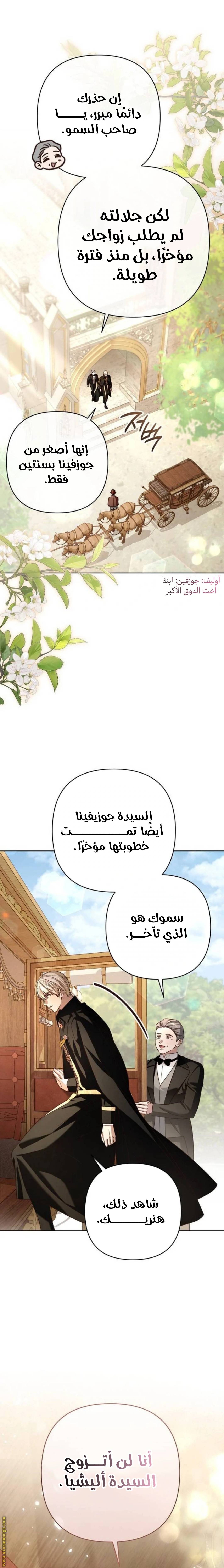 الصفحة 29