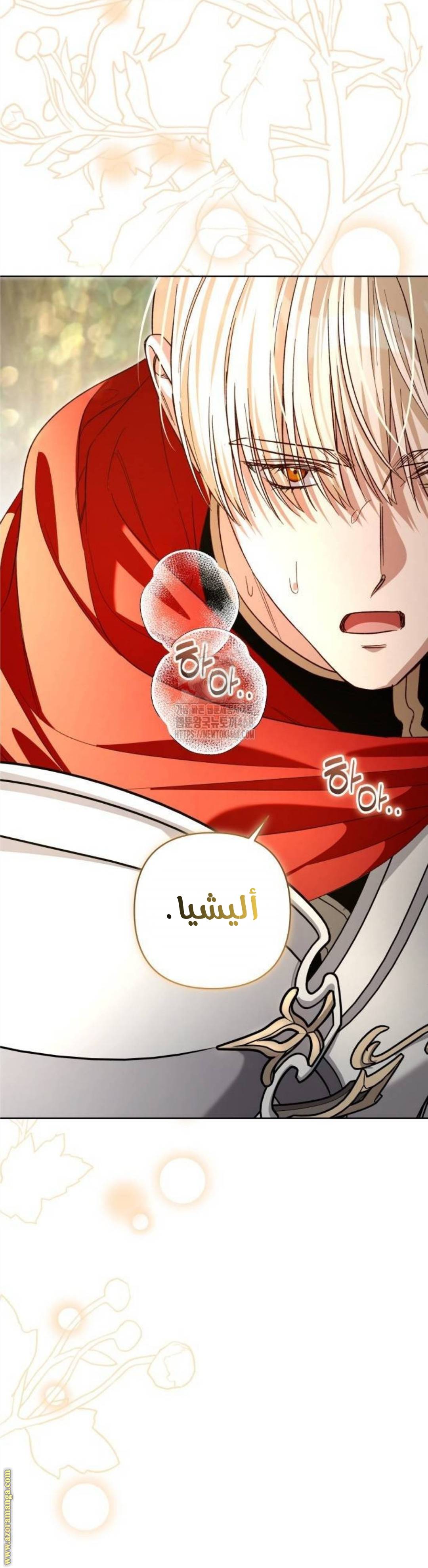 الصفحة 31