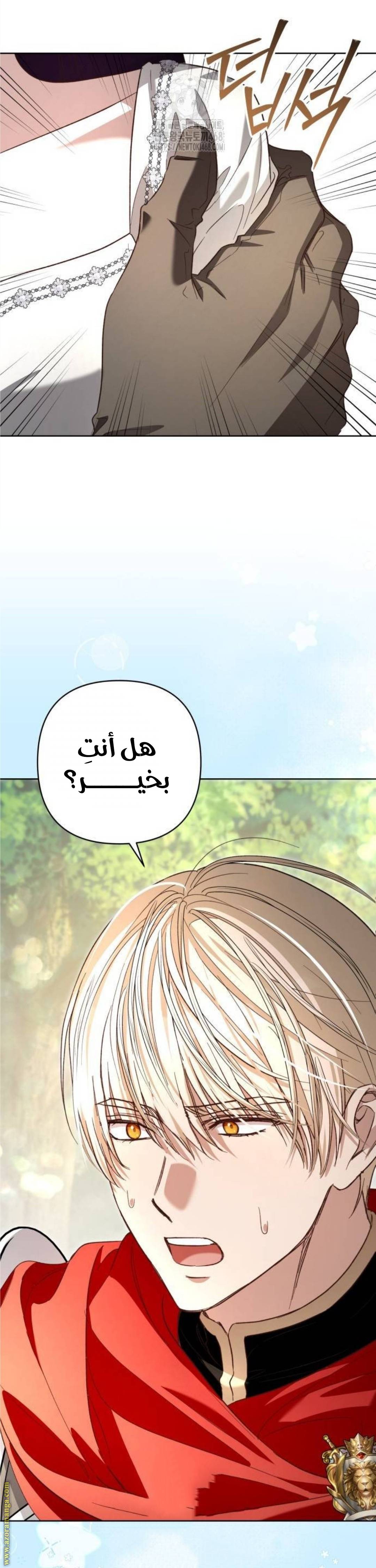الصفحة 32