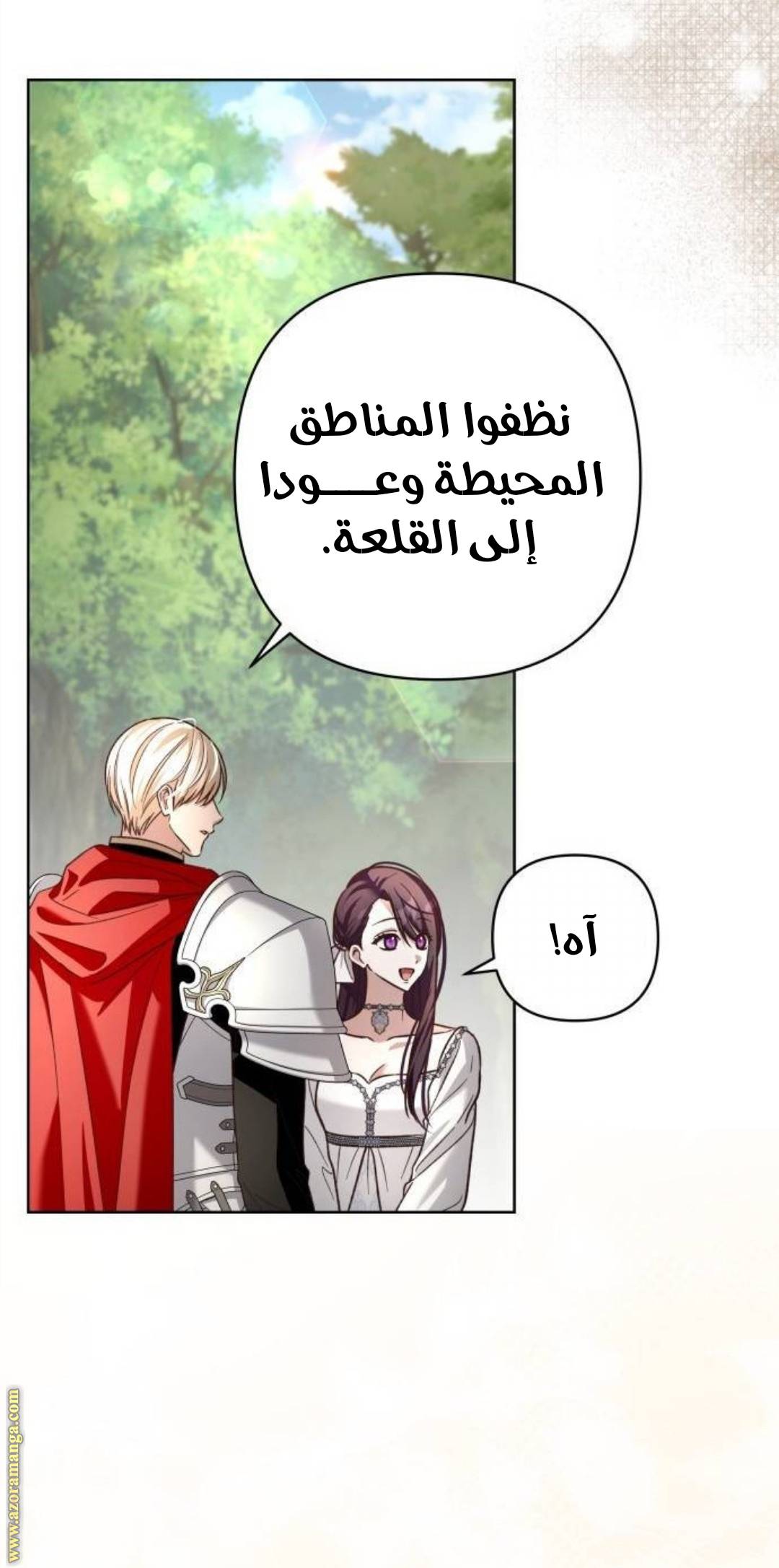 الصفحة 40