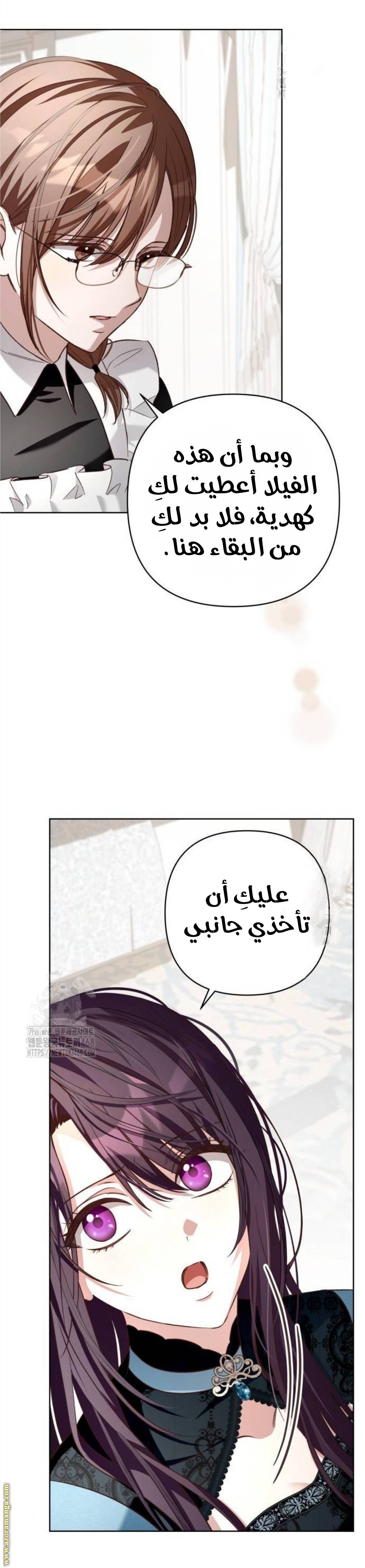 الصفحة 46