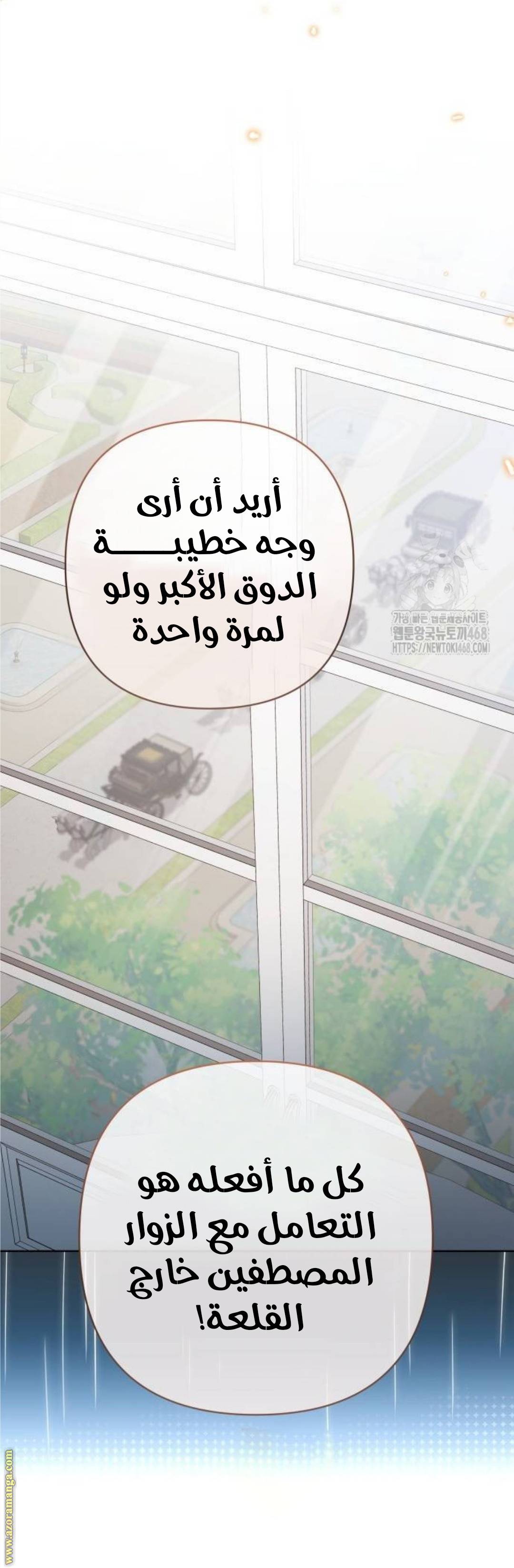 الصفحة 49