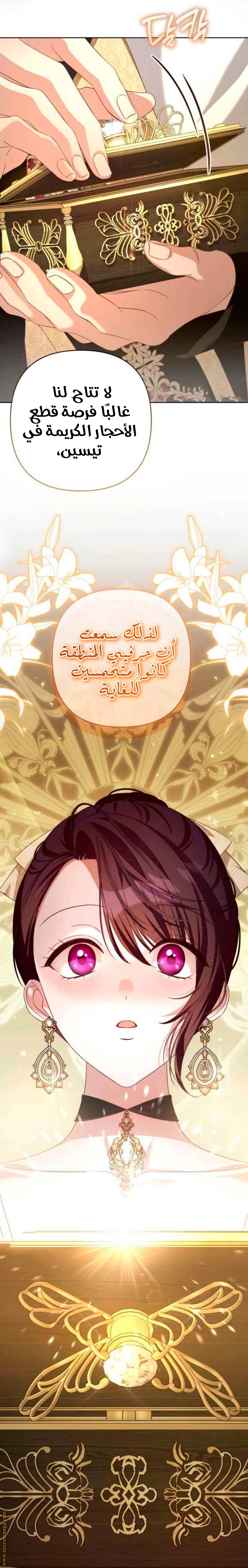 الصفحة 11