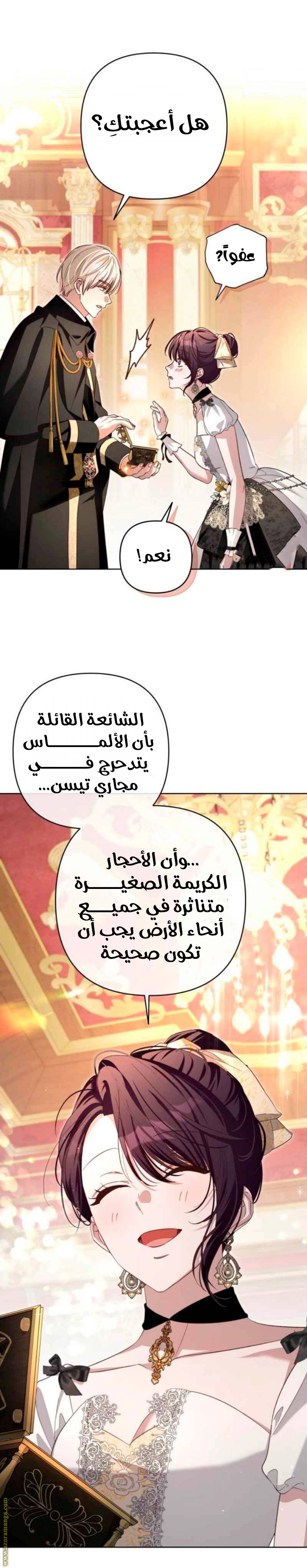 الصفحة 13