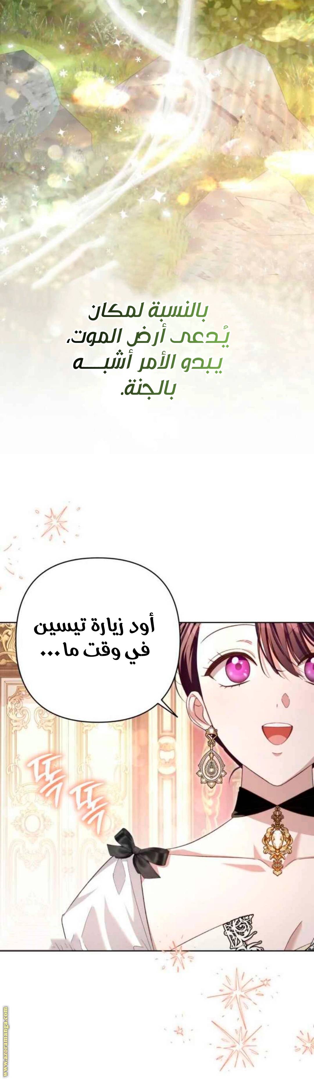 الصفحة 17