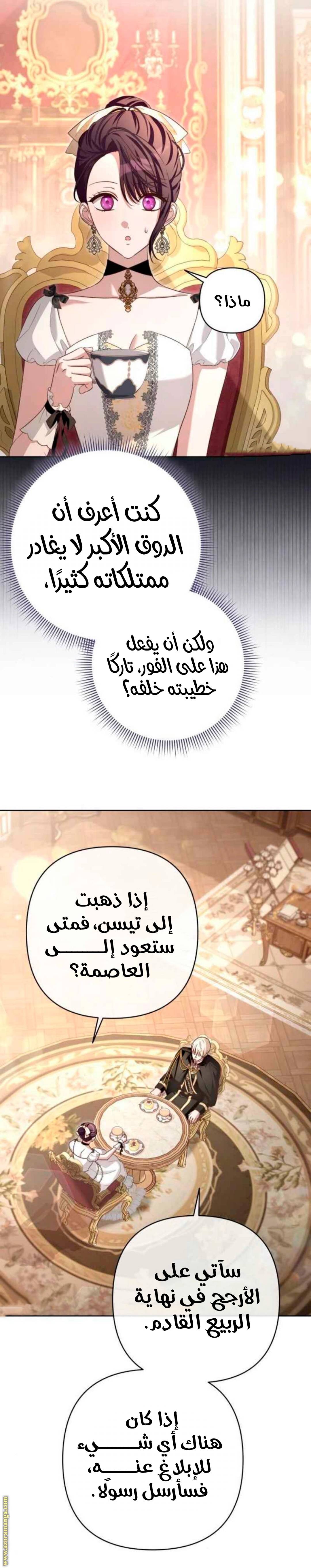 الصفحة 20