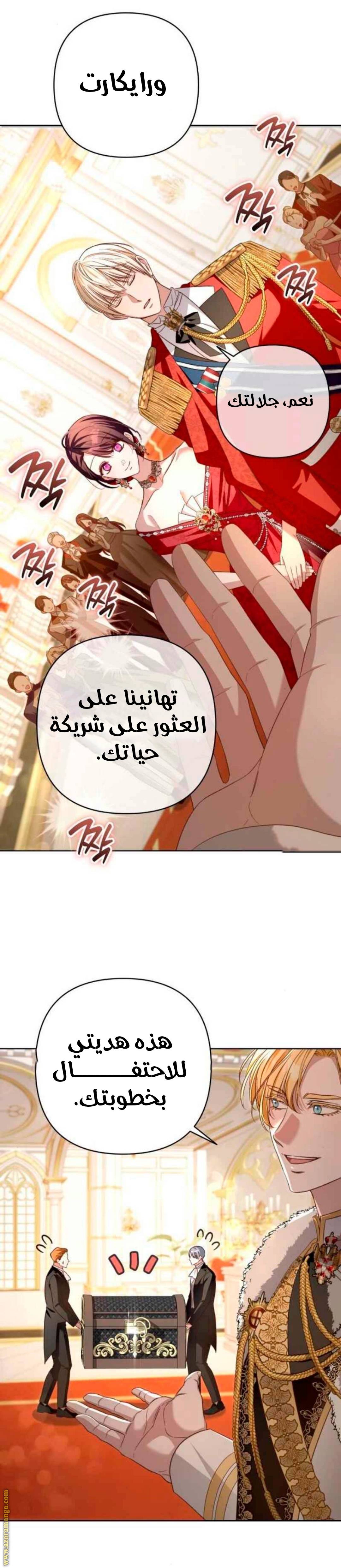 الصفحة 42
