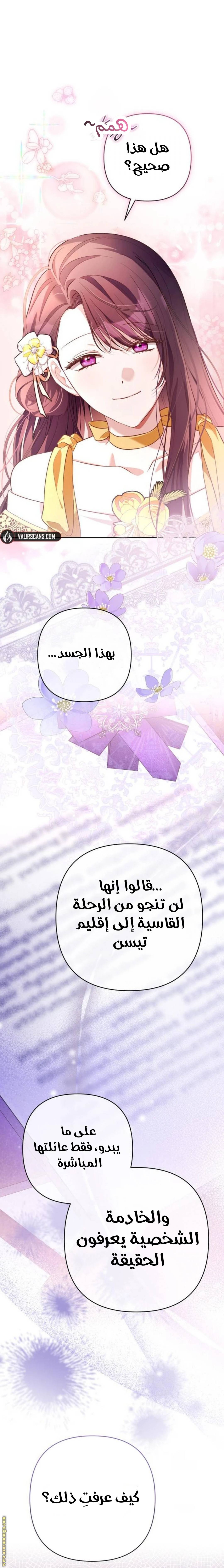 الصفحة 17