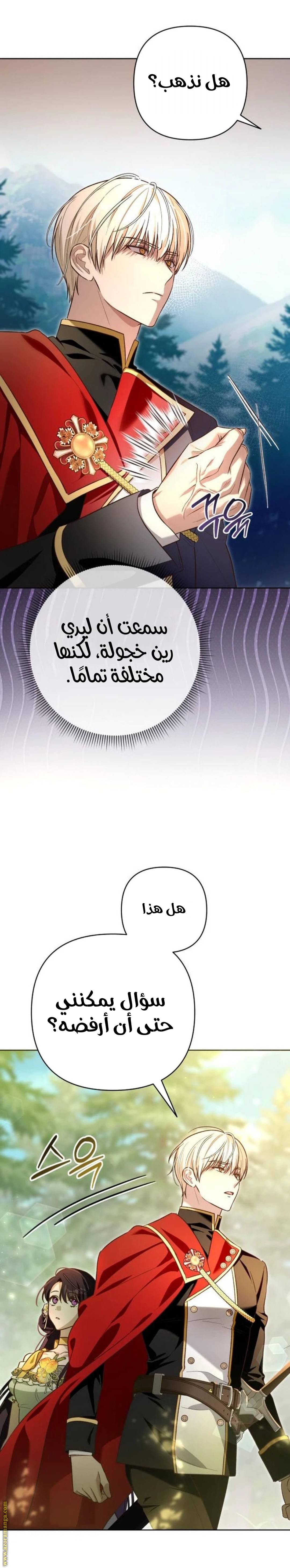 الصفحة 20