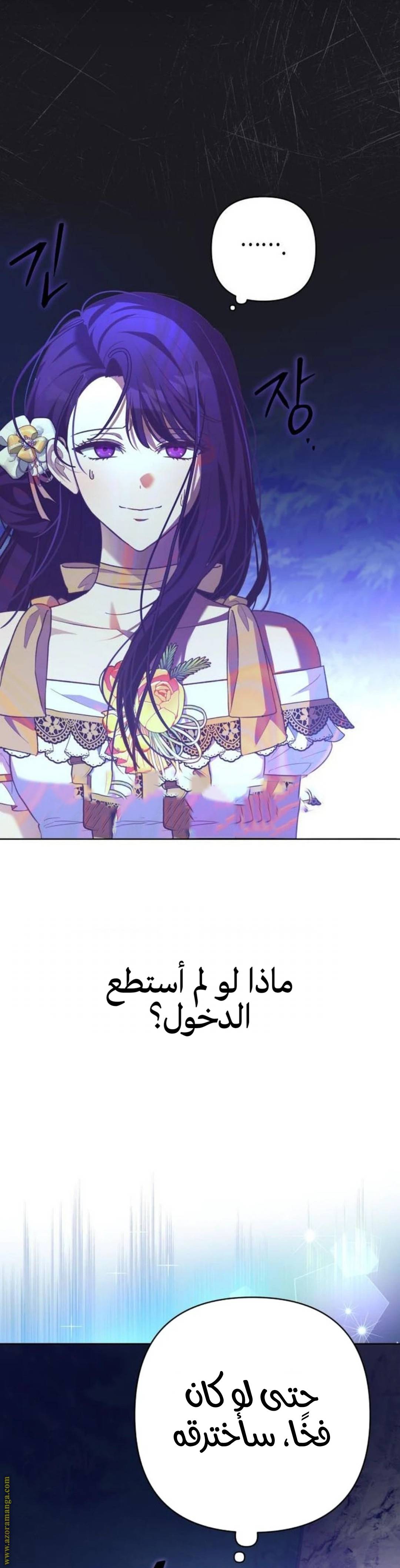 الصفحة 26