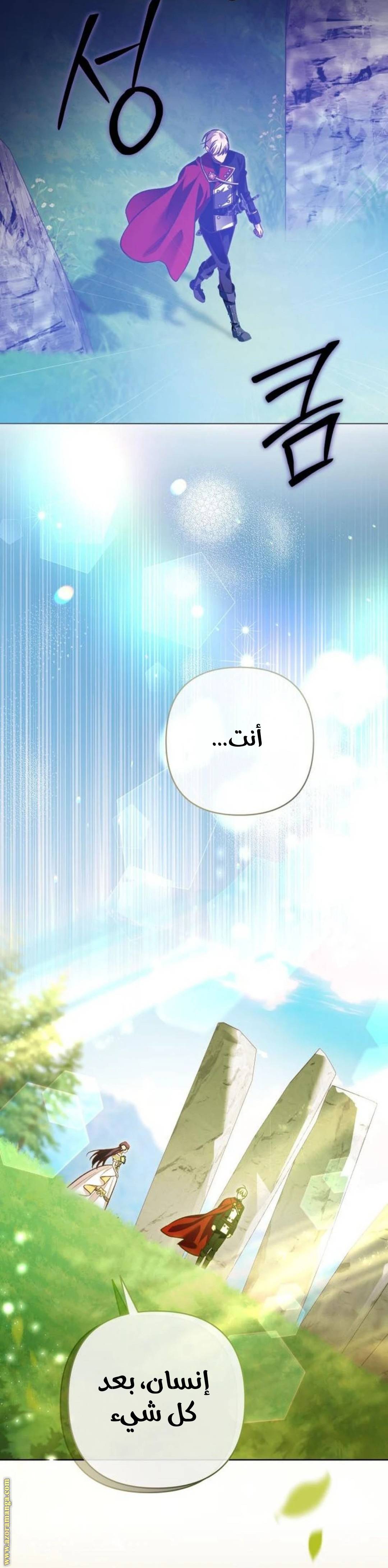 الصفحة 27