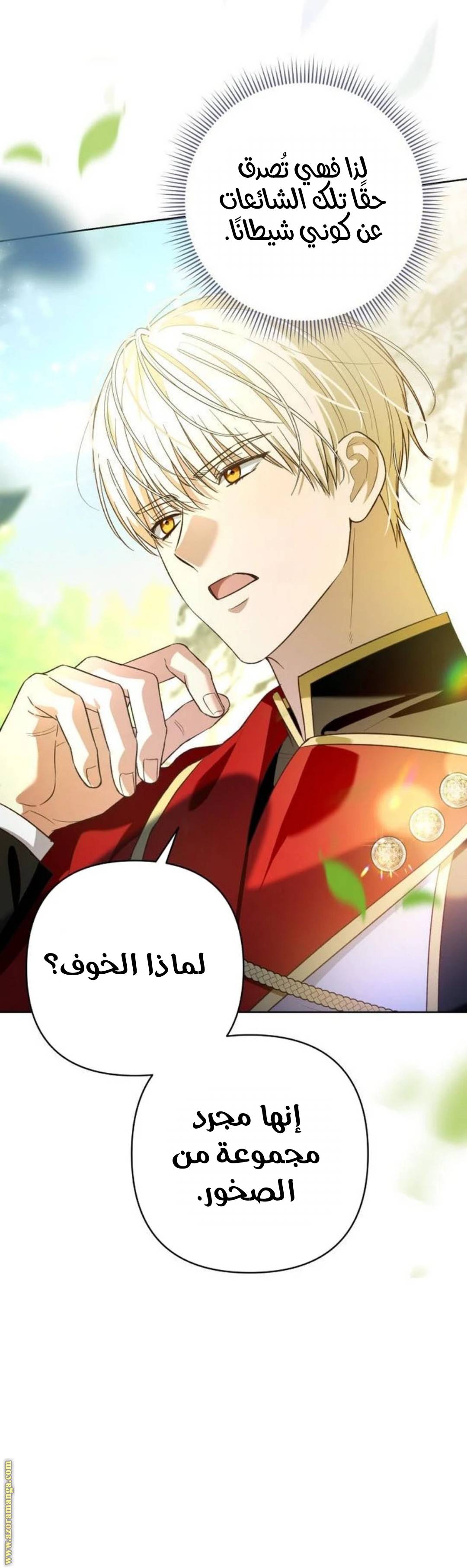 الصفحة 29