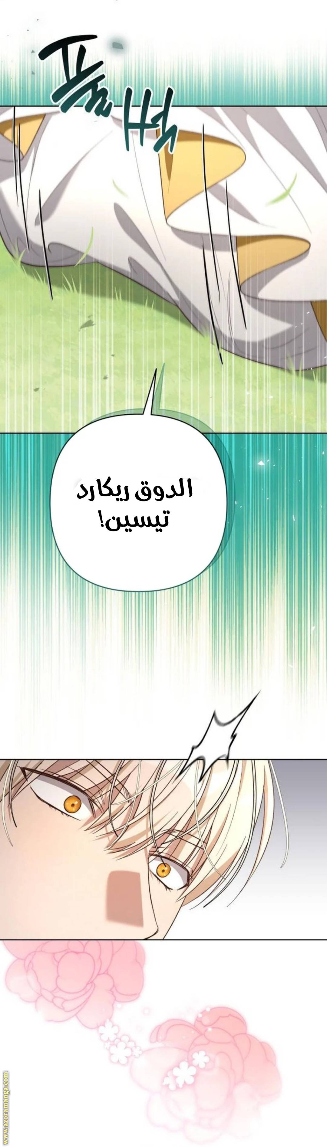 الصفحة 38