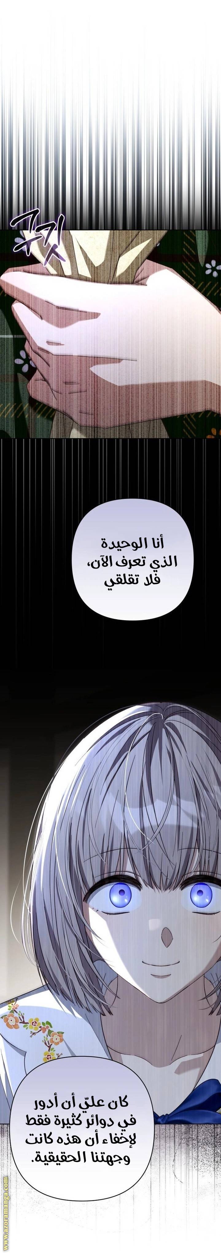 الصفحة 29