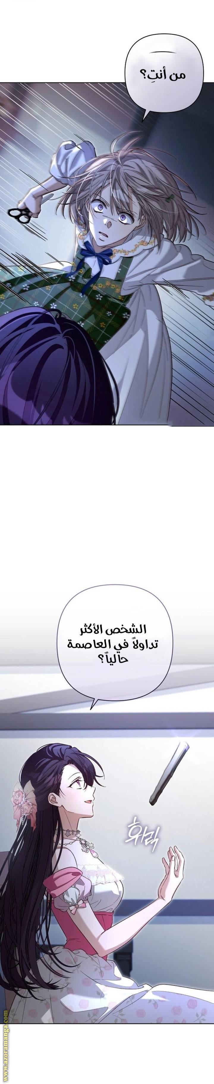 الصفحة 31