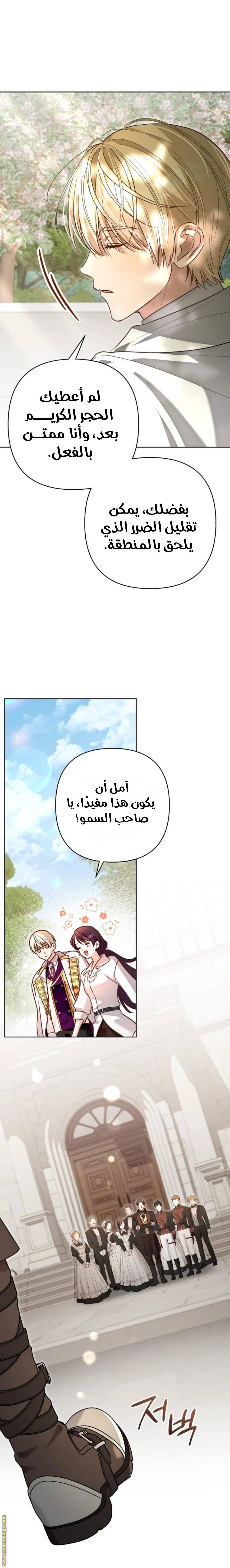 الصفحة 11