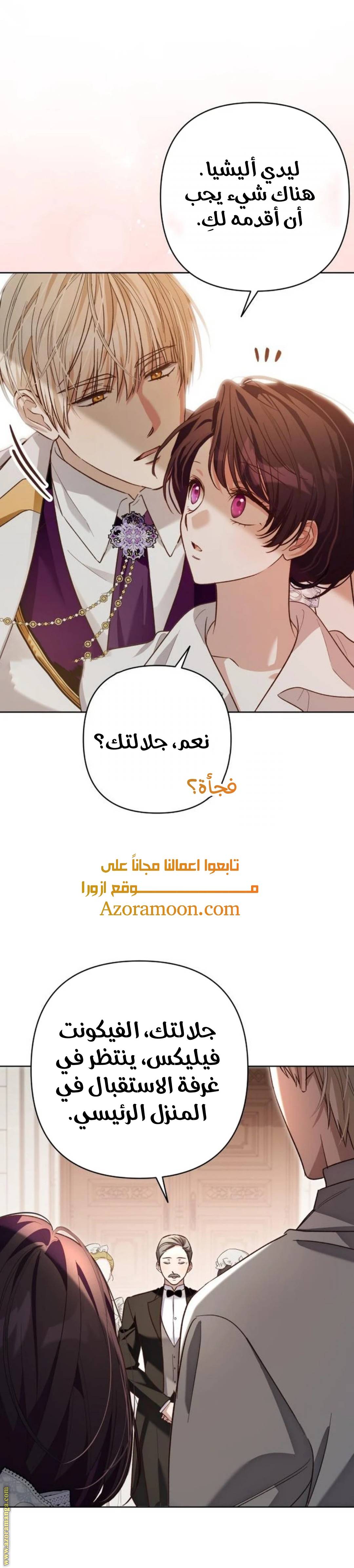 الصفحة 13