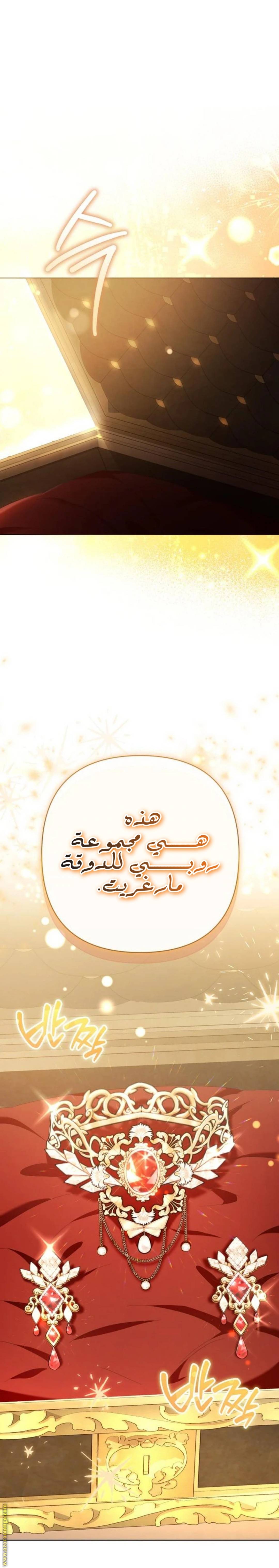 الصفحة 17