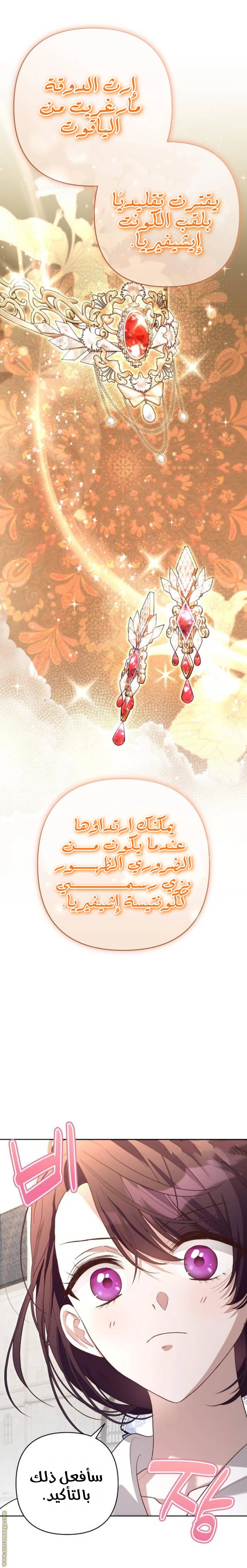 الصفحة 19