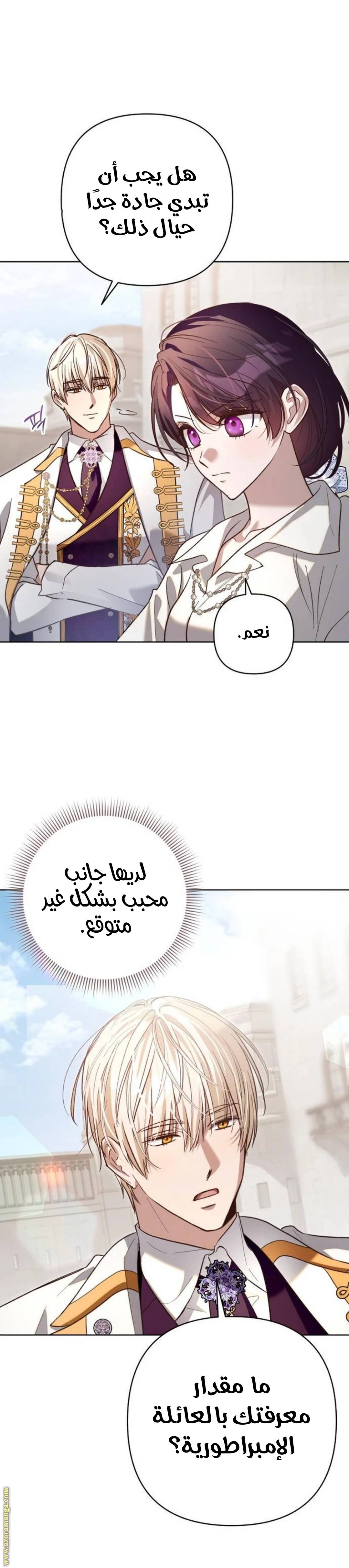 الصفحة 20