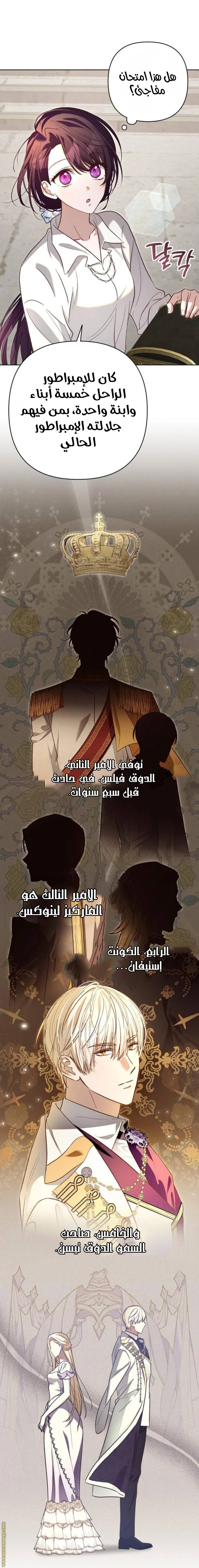 الصفحة 21