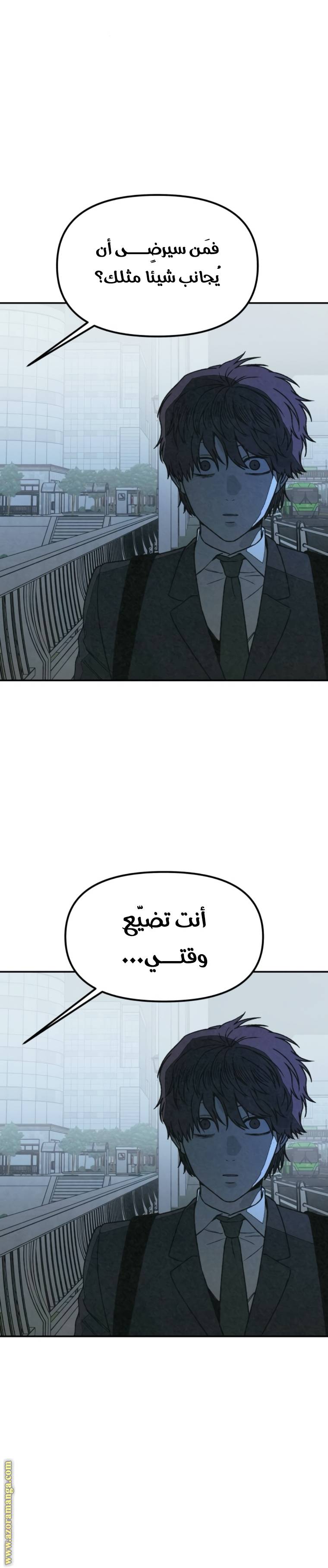 الصفحة 13