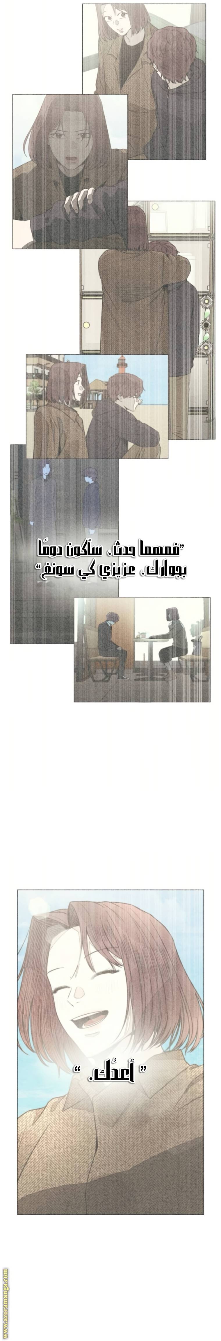الصفحة 17