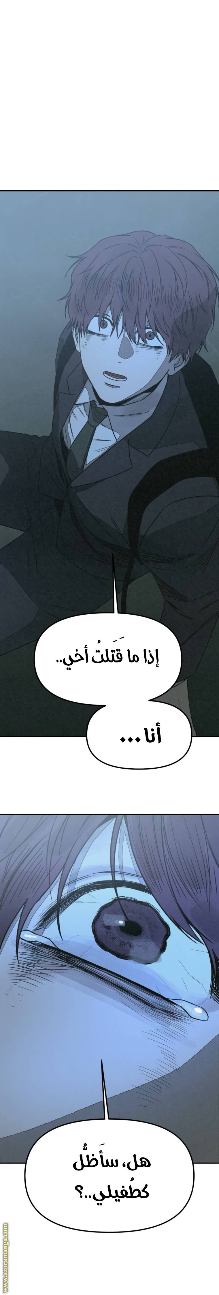 الصفحة 25