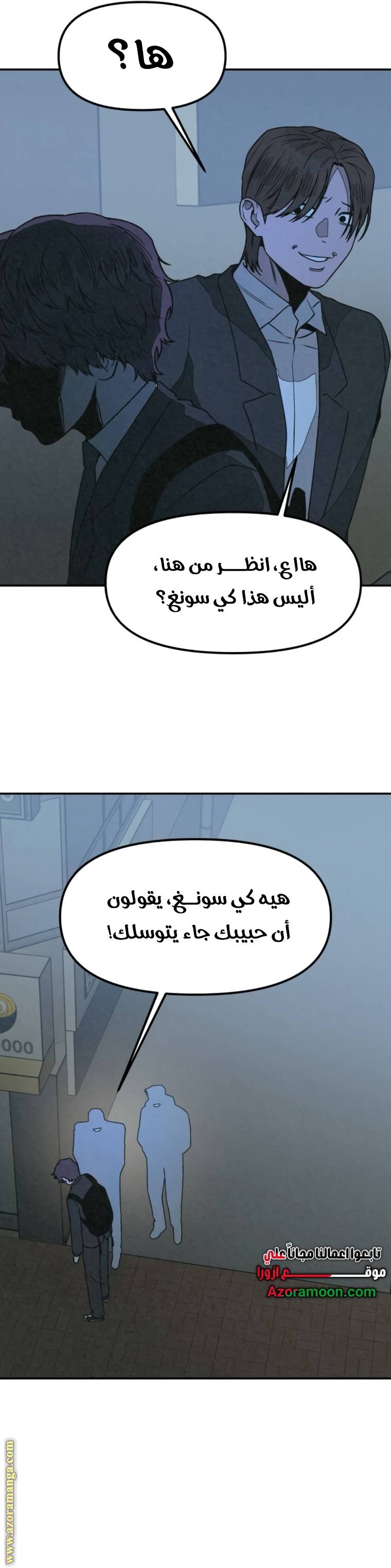الصفحة 29
