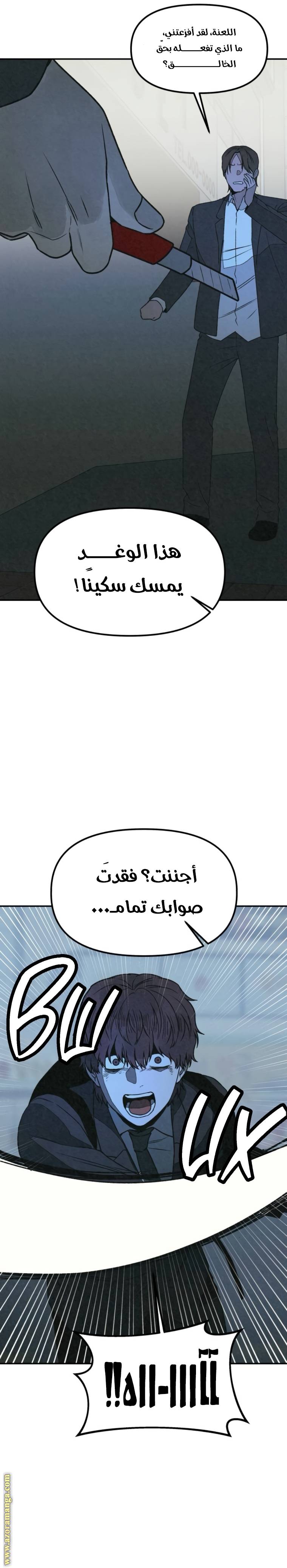 الصفحة 31