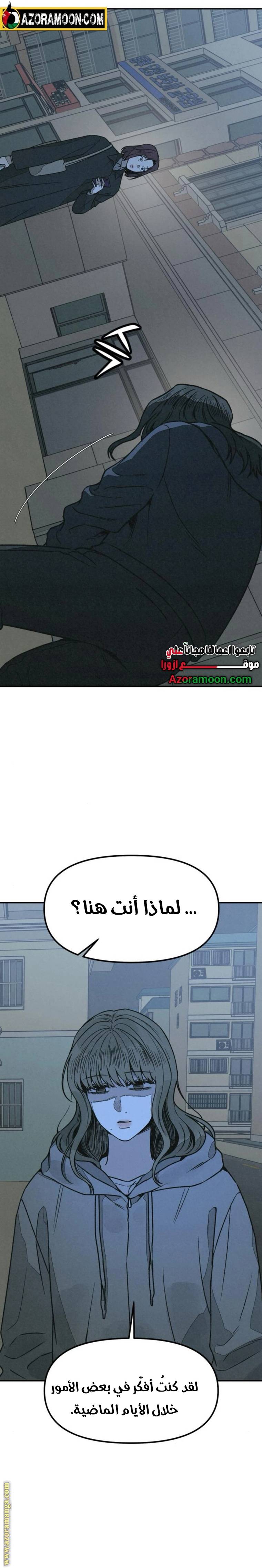 الصفحة 17