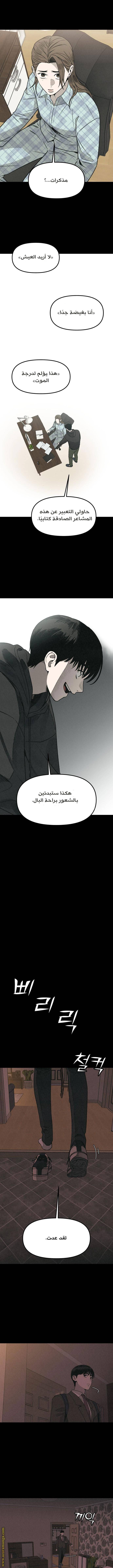 الصفحة 11
